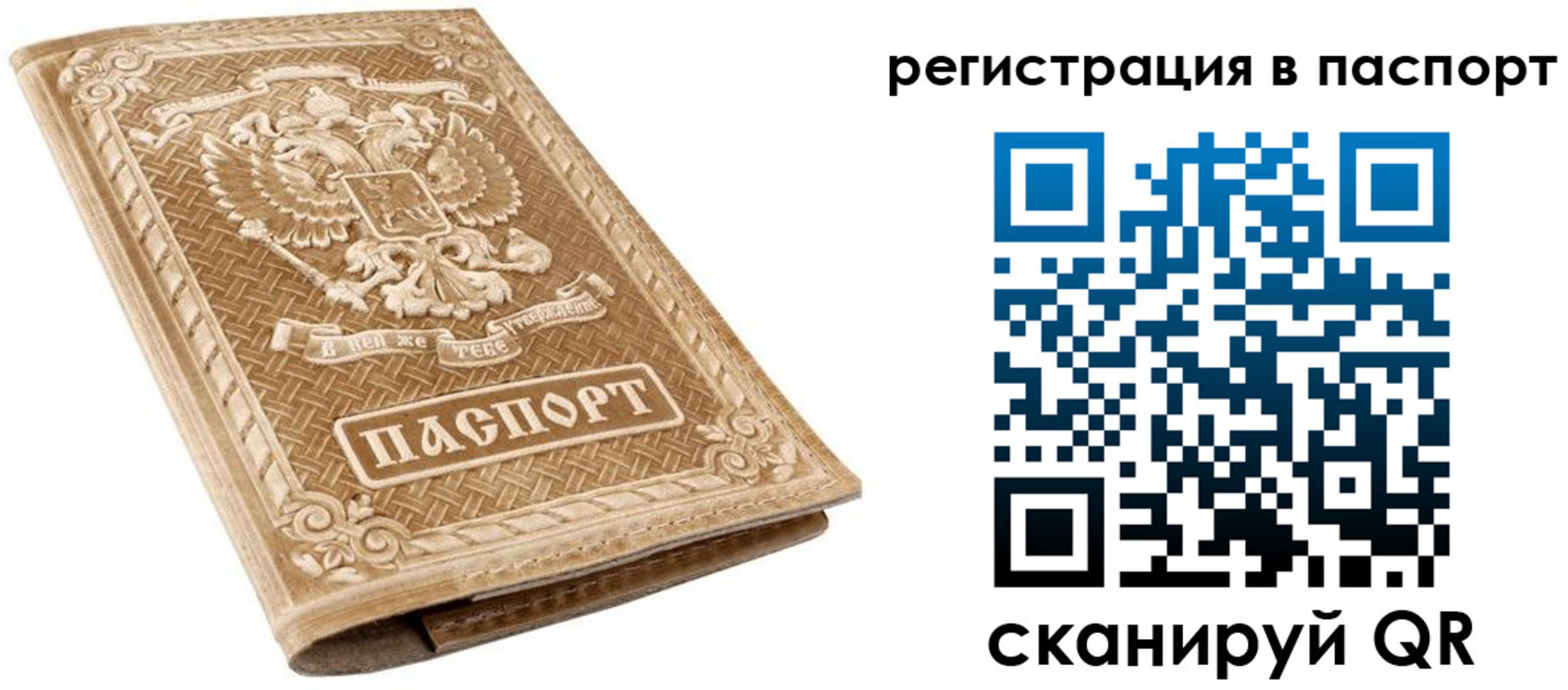 прописка в Знаменске
